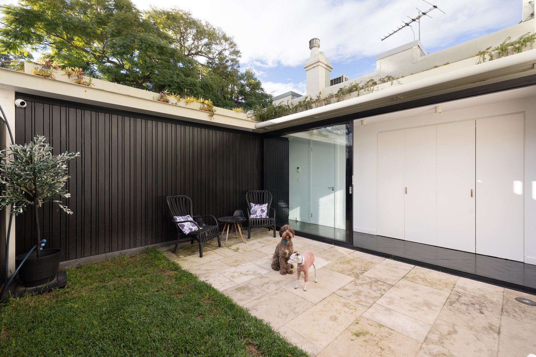 5 Warren Ball Avenue, Newtown NSW 2042 - For Sale via Bresic Whitney